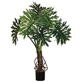 4 foot Outdoor Split Leaf Philodendron: Limited UV