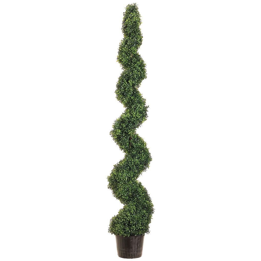 6 foot Boxwood Spiral Topiary Potted OVERSTOCK 3313 Flowers Royale