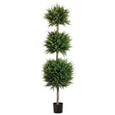 5 foot Canadian Cypress Triple Ball Topiary: Potted