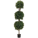 5 foot Outdoor Triple Ball Boxwood Topiary: Potted