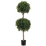 4 foot Outdoor Double Ball Boxwood Topiary: Potted