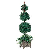 Ivy Topiary