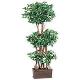 4 foot Mini Ficus Wall Tree in Wood Container
