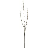 41inch Pussy Willow Branch (Set of 3)
