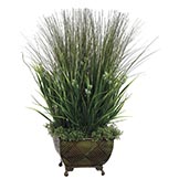 Onion Grass and Sedum