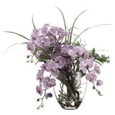 25 inch Phalaenopsis Orchids in Glass Vase