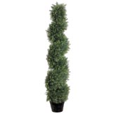 4 foot Cedar Spiral Topiary: Potted
