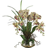 28 inch Phalaenopsis Orchid and Twig Arrangement in Glass Vase