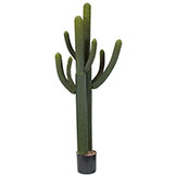 5.5 foot Artificial Whisker Cactus: Potted (Set of 2)