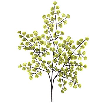 20 inch Maiden Hair Fern Branch