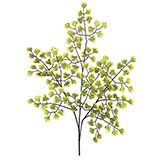 20 inch Maiden Hair Fern Branch