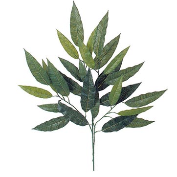 26 inch Mango Leaf Branch
