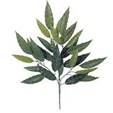 26 inch Mango Leaf Branch