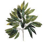 26 inch Mango Branch