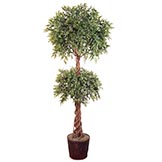 6 foot Ruscus Double Ball Topiary with Braided Trunk : Potted