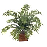 34 inch Fern with 24 Fronds: Unpotted