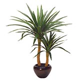 32 inch Dracaena Tree in Decorative Planter