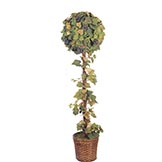 4 foot Early Autumn Grape Leaf Ball Topiary with Berries: Potted