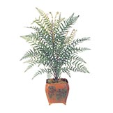 36 inch Plastic Thistle Fern Plant