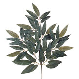 24 inch Mango Leaf Branch