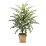 Plastic Self-shaped Sword Fern with 38 fronds: Unpotted