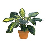 All Artificial Plants