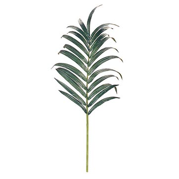 36 inch Kentia Palm Frond