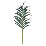 36 inch Kentia Palm Frond