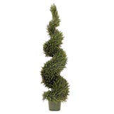 Spiral Topiary