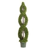 Cedar Topiary