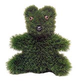 11 inch bear