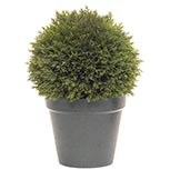 10 inch Tall Cedar Topiary: Potted