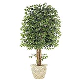 92 inch Green Ficus Tree: Potted