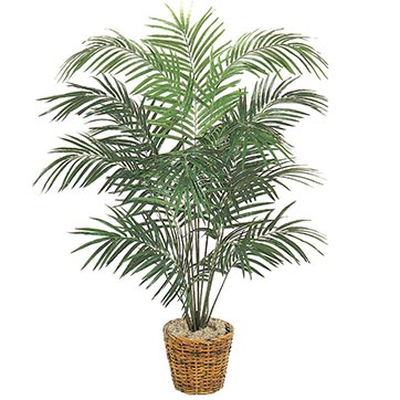 6 Foot Silk Mini Areca Palm: Potted