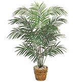 6 Foot Silk Mini Areca Palm: Potted