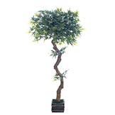 All Silk Trees