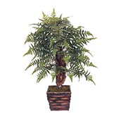 36 inch Forest Fern in Bamboo Planter