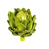 4.5 inch Artichoke