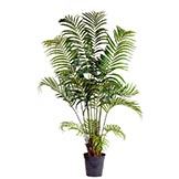 5 foot Silk Areca Palm Tree: Potted