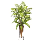 Floor Plants