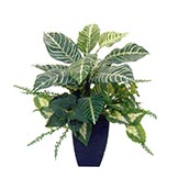 17 inch Zebra Mixed Plants in Decorative Pot