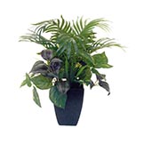 18 inch Mixed Palms in Decorative Pot