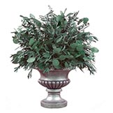 24 inch preserved Eucalyptus Tabletop Topiary