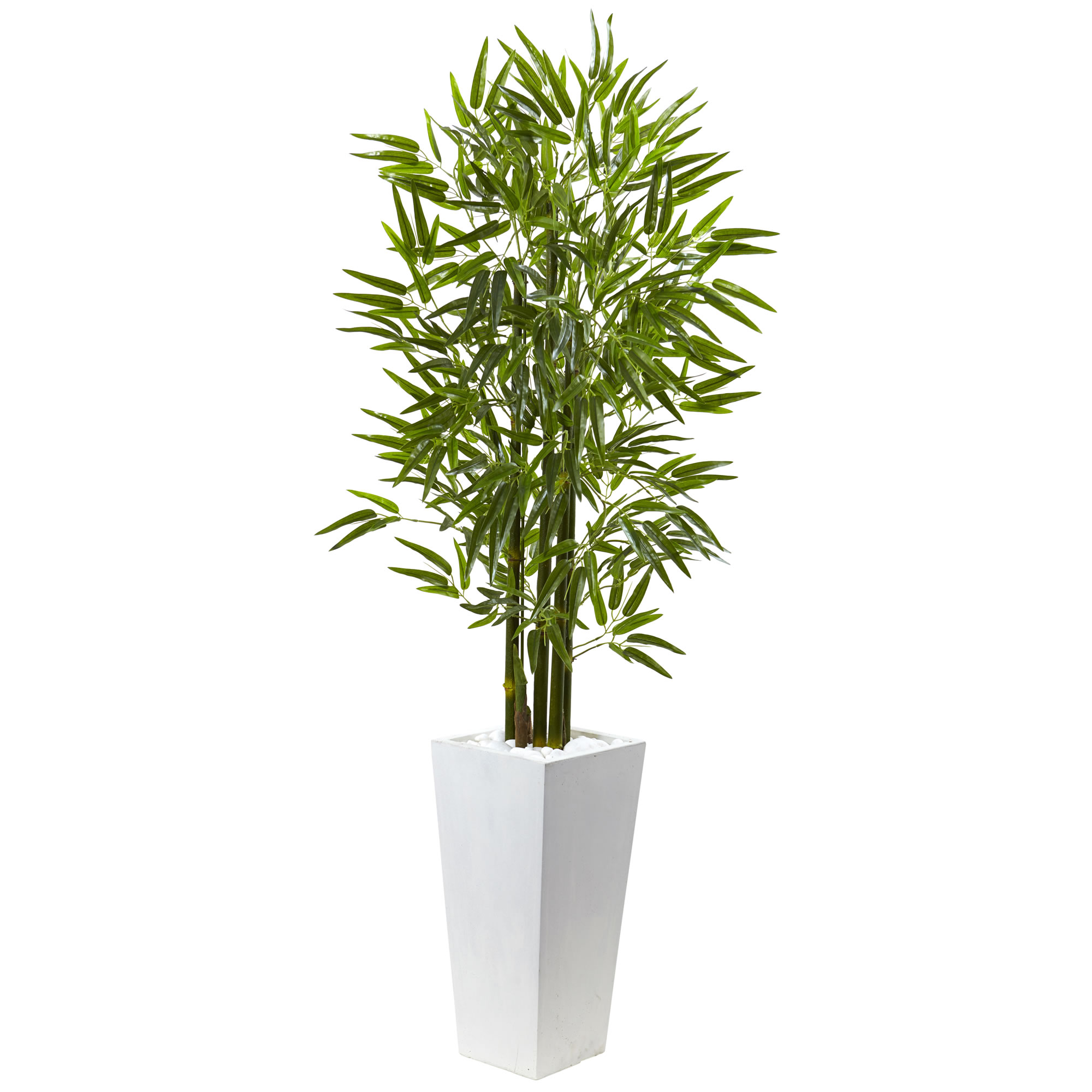 5 foot Bamboo Tree in White Planter: Limited UV Protection