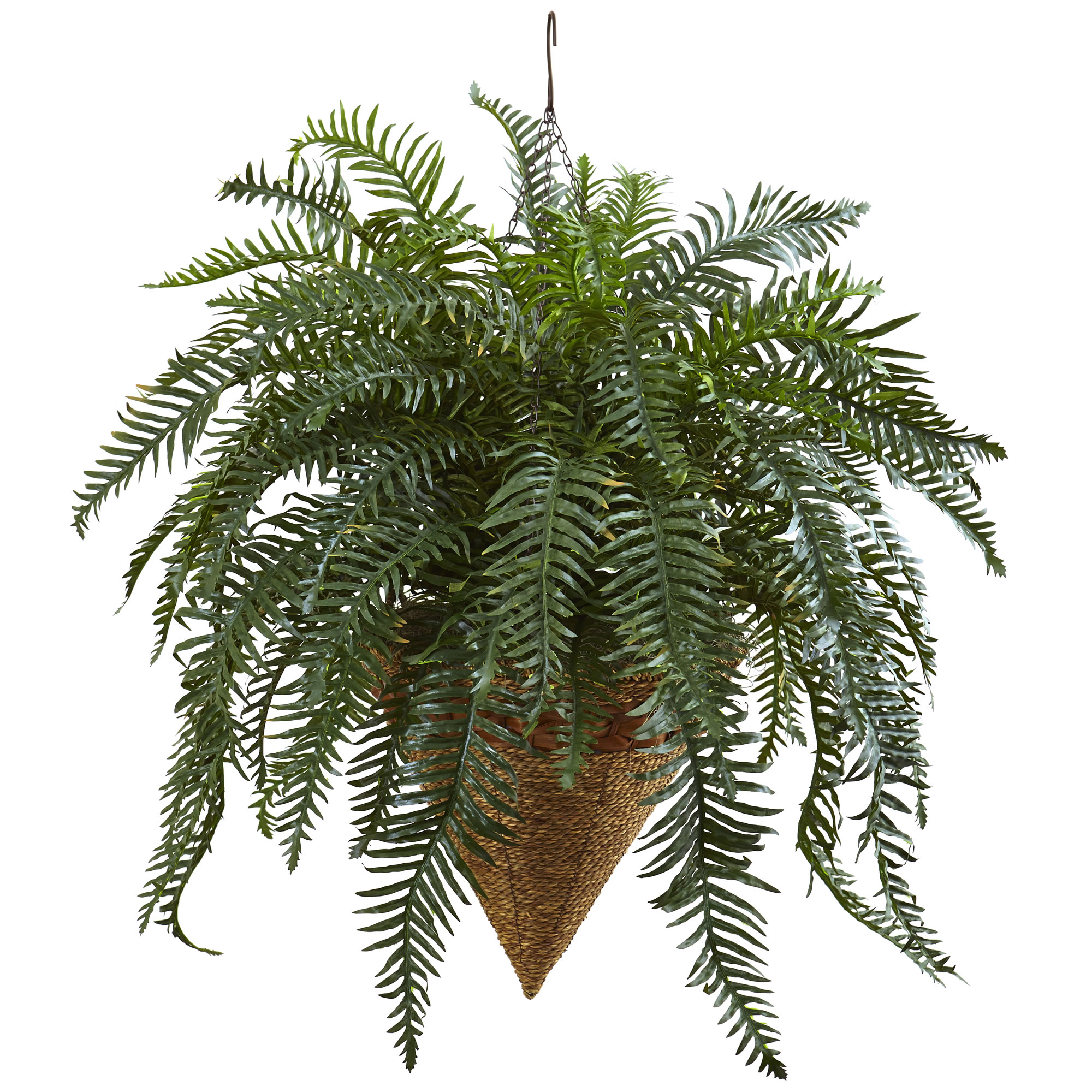 33 inch Giant River Fern in Cone Hanging Basket