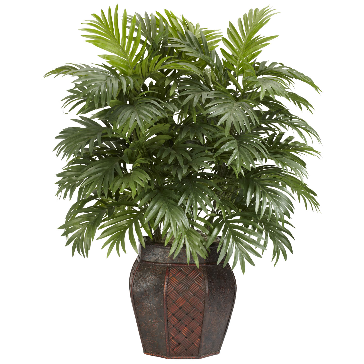 38 inch areca palm in vase | 6651