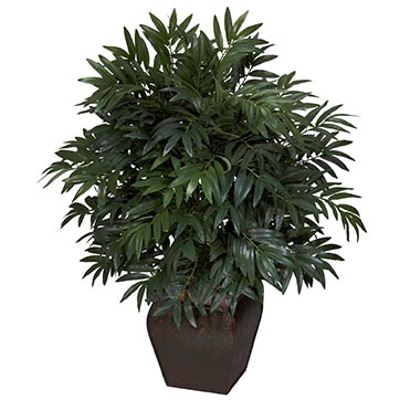 35 inch Double Bamboo Palm in Decorative Planter