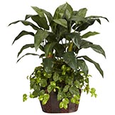 4 foot Double Bird of Paradise and Pothos in Decorative Container