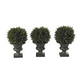 9 inch Cedar Ball Topiary in Urn (Set of 3)