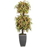 Double Ball Berry Topiary in Pot